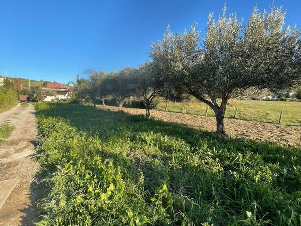 Villa singola Periferia, Agrigento, AG Vendita - Foto 3