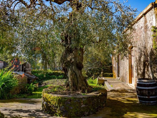 Casa Indipendente Viagrande, CT Vendita - Foto 3