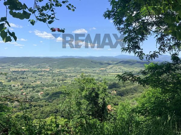 Appartamento Gavorrano, GR Vendita