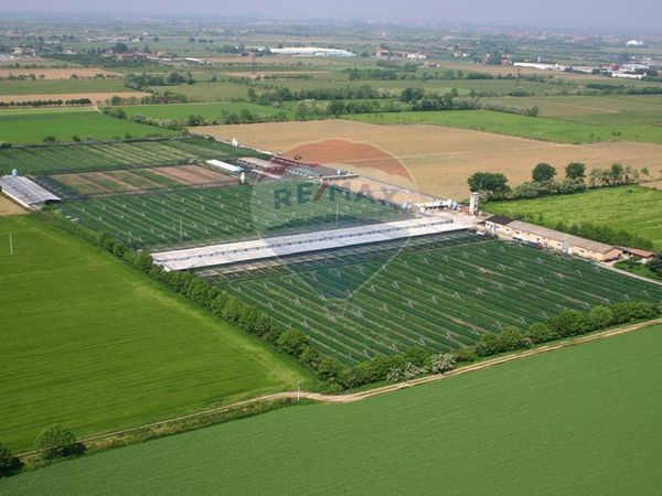 Azienda Agricola Treviglio, BG Vendita - Foto 2