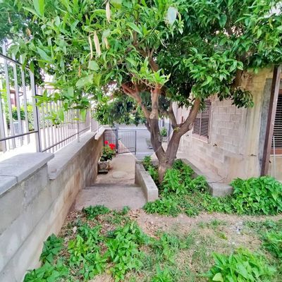 Villa singola Solopaca, BN Vendita - Foto 5