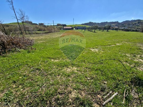 Terreno Edificabile San Marco Argentano, CS Vendita - Foto 4