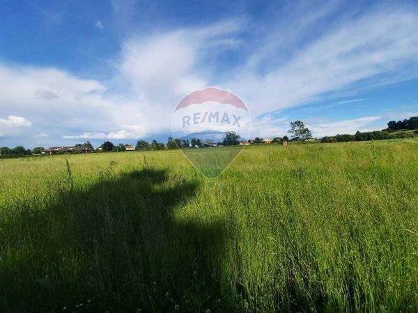 Terreno Pecetto di Valenza, AL Vendita - Foto 3