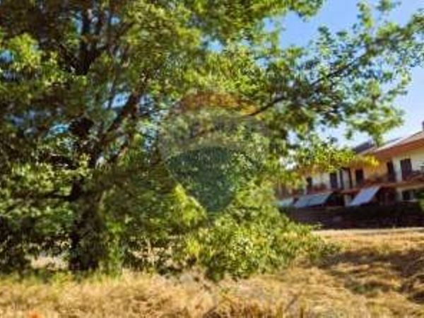 Terreno Edificabile Linguaglossa, CT Vendita - Foto 3