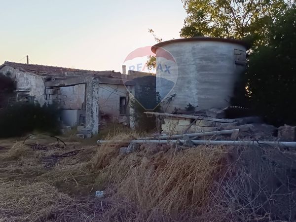 Casa Indipendente Marina di Ginosa, Ginosa, TA Vendita - Foto 3