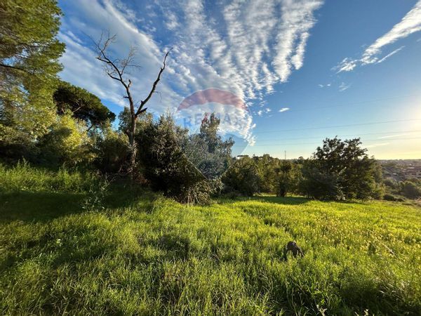 Terreno Anagnina, Roma, RM Vendita - Foto 4