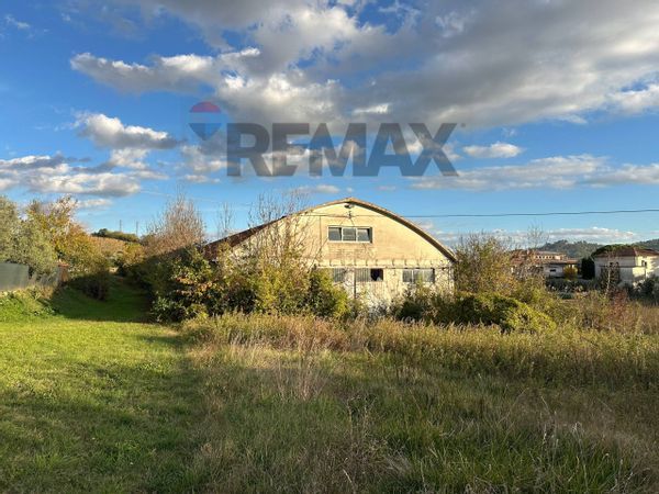 Capannone Industriale Sant'Apollinare, Monte Roberto, AN Vendita - Foto 3