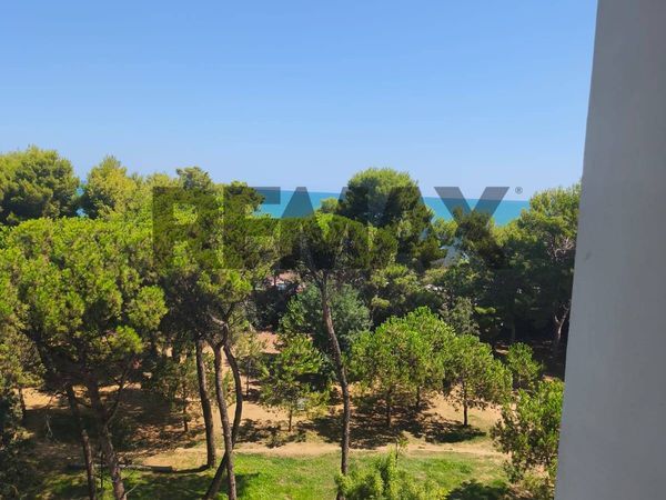 Appartamento Montesilvano Spiaggia, Montesilvano, PE Vendita