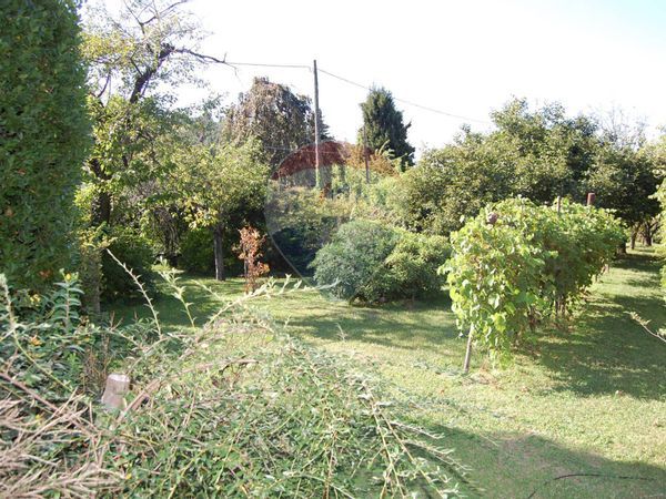 Casa Indipendente Mesenzana, VA Vendita - Foto 4