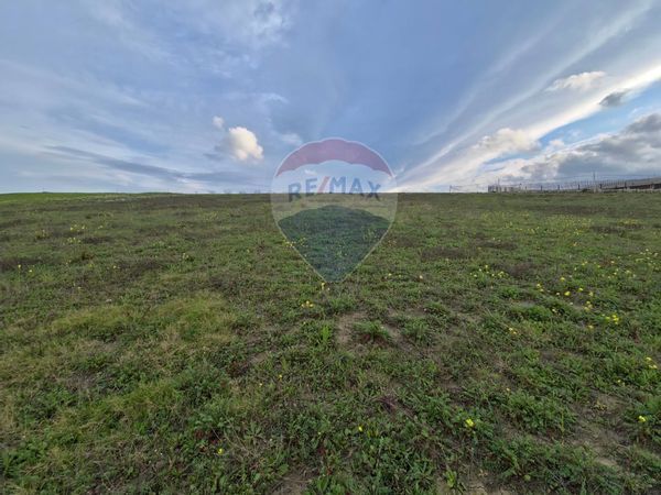 Terreno San Marco Argentano, CS Vendita