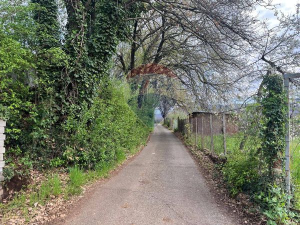 Terreno Colonna, RM Vendita - Foto 4