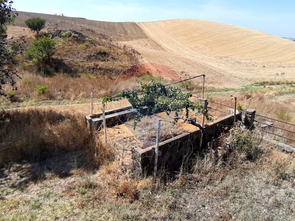 Cascina/Casale Campagna, Tarquinia, VT Vendita