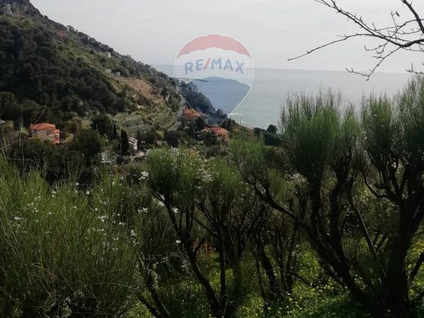 Casa Semindipendente Latte, Ventimiglia, IM Vendita - Foto 2