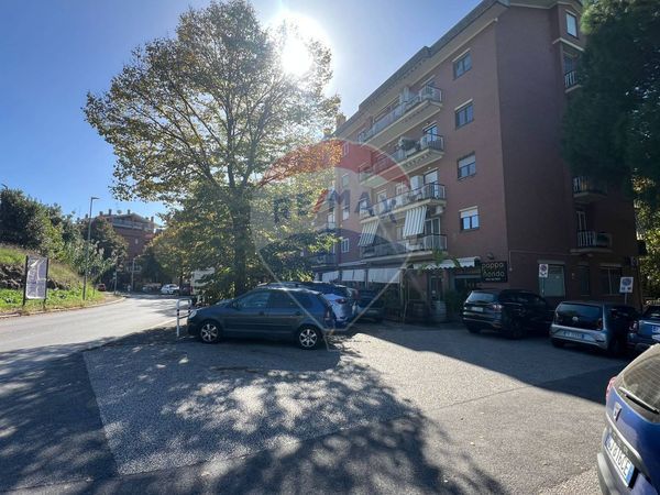 Appartamento Albano Laziale, RM Affitto - Foto 4