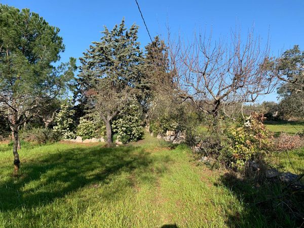 Baita/Chalet/Trullo Polignano a Mare, BA Vendita - Foto 4