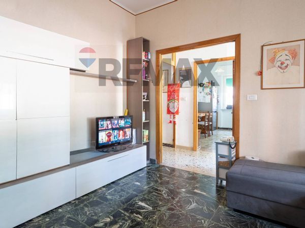 Casa Indipendente Cupramontana, AN Vendita - Foto 3