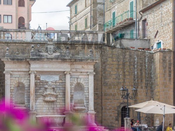 Appartamento Farnese, VT Vendita - Foto 4