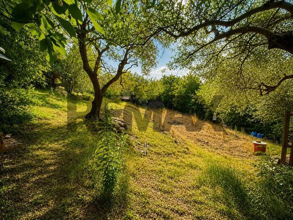 Villa singola Arquà Petrarca, PD Vendita - Foto 4