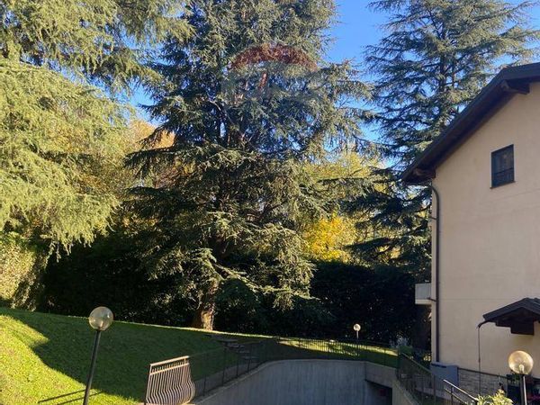 Appartamento Gazzada, Gazzada Schianno, VA Vendita