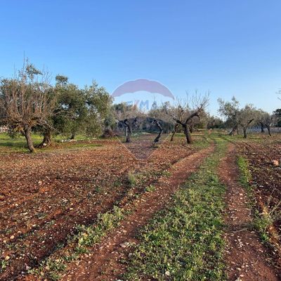 Terreno Edificabile Monopoli, BA Vendita - Foto 3