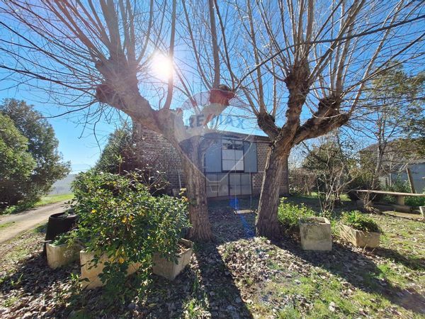 Cascina/Casale Turrita, Montefalco, PG Vendita - Foto 4