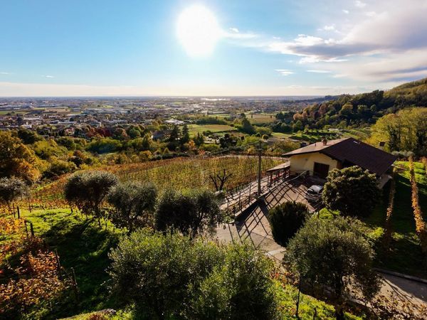 Azienda Agricola Tagliuno, Castelli Calepio, BG Vendita - Foto 3