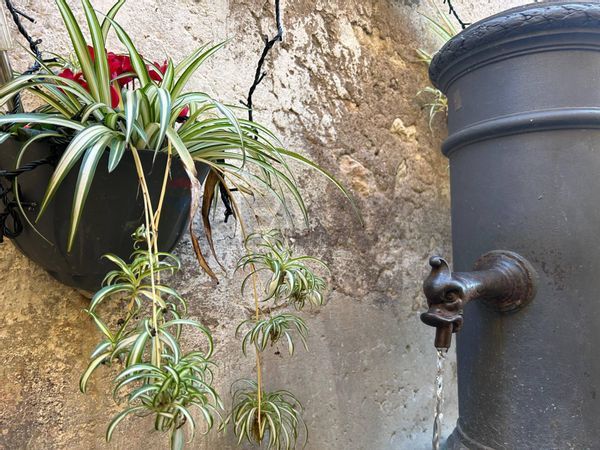 Appartamento Guidonia Montecelio, RM Vendita - Foto 2