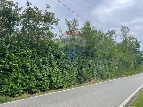 Terreno Abazia, Masio, AL Vendita - Foto 3