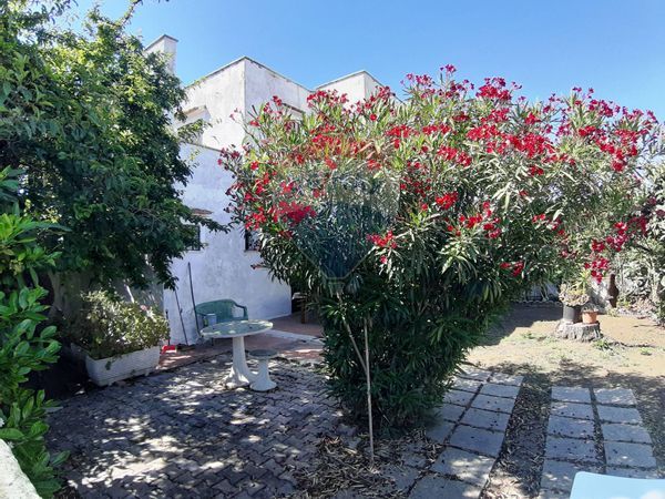 Villa o villino Cerenova, Cerveteri, RM Vendita - Foto 4