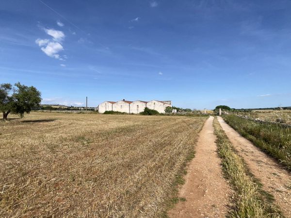 Cascina/Casale Santeramo in Colle, BA Vendita - Foto 4