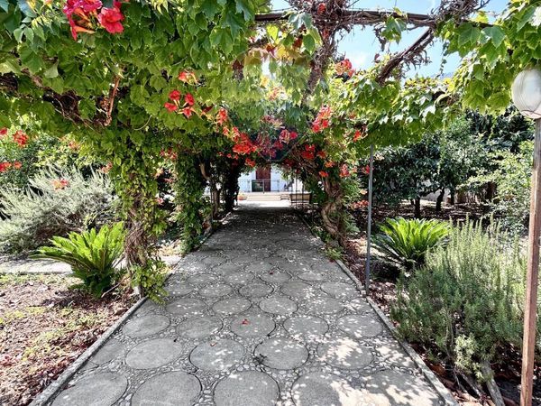 Villa singola Sant'Andrea, Valderice, TP Vendita - Foto 4