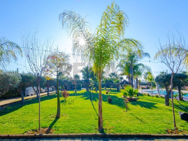 Villa singola Castellaneta, TA Vendita - Foto 4