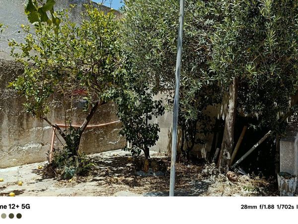 Villa o villino Castelvetrano, TP Vendita