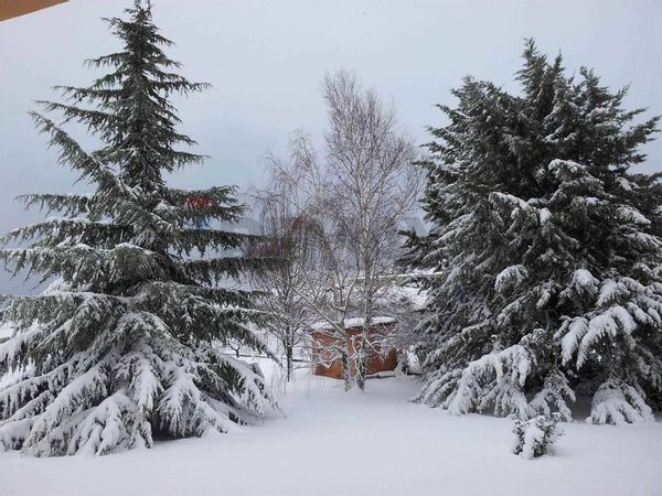 Villa o villino Torricella Peligna, CH Vendita - Foto 2