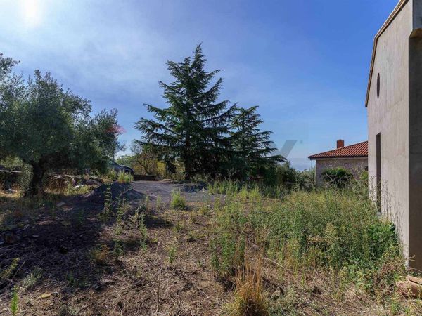 Nuove costruzioni Biancavilla, CT Vendita - Foto 2