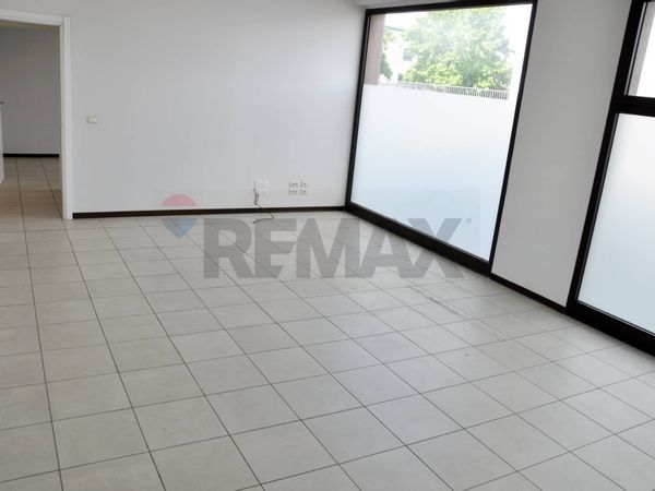 Locale Commerciale Colli Alti, Signa, FI Affitto - Foto 3