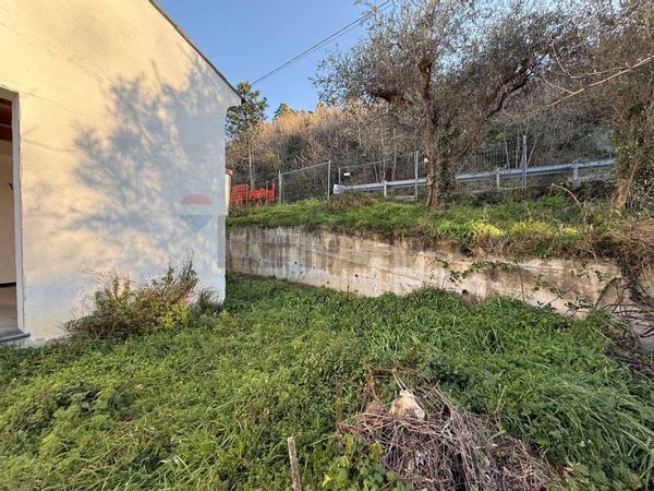 Casa Indipendente Briffi, Tovo San Giacomo, SV Vendita - Foto 4