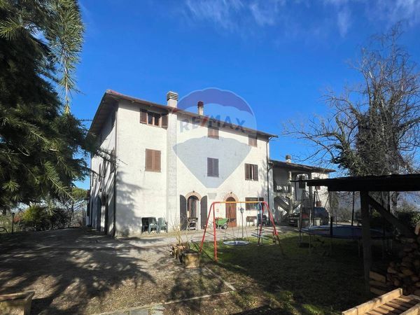 Azienda Agricola Campagna, San Giovanni Valdarno, AR Vendita