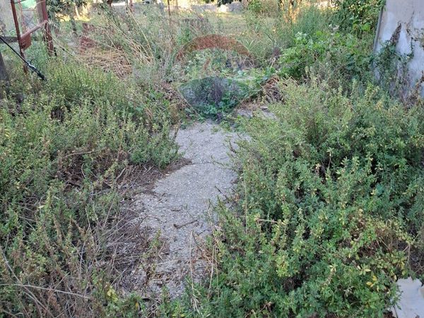 Casa Indipendente Miglianico, CH Vendita - Foto 3