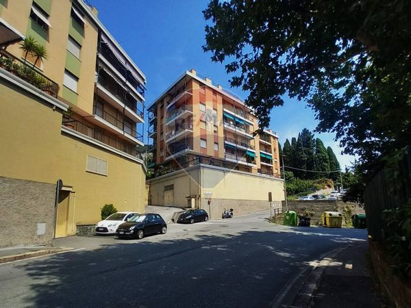 Appartamento Sestri Ponente, Genova, GE Affitto