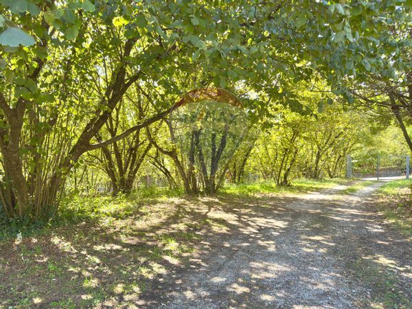 Villetta bifamiliare Centro, Avellino, AV Vendita - Foto 4