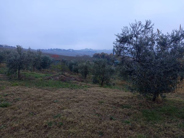 Casa Indipendente Torrette Di Ancona, Ancona, AN Affitto - Foto 2