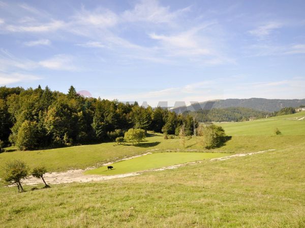 Appartamento Lusiana Conco, VI Vendita - Foto 3