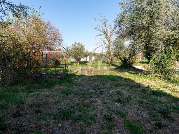 Appartamento Palombara Sabina, RM Vendita - Foto 2