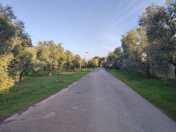 Capannone Industriale Bisceglie, BT Vendita - Foto 3