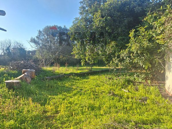 Villa singola Aci Bonaccorsi, CT Vendita - Foto 3
