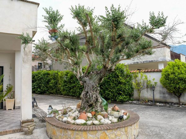 Villa singola Cervaro, FR Vendita - Foto 4