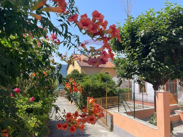 Appartamento Arzeno, Ne, GE Vendita - Foto 2