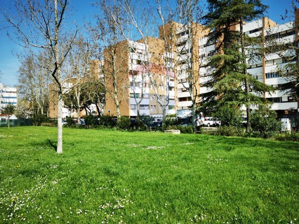 Appartamento Zona Fossolo, Bologna, BO Vendita