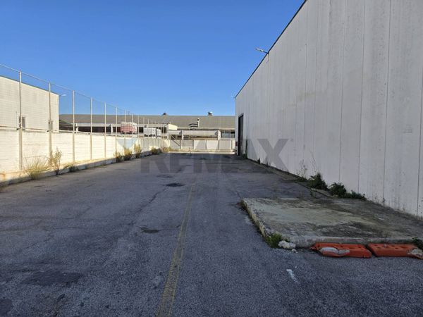 Capannone Industriale Pomezia, RM Affitto - Foto 3